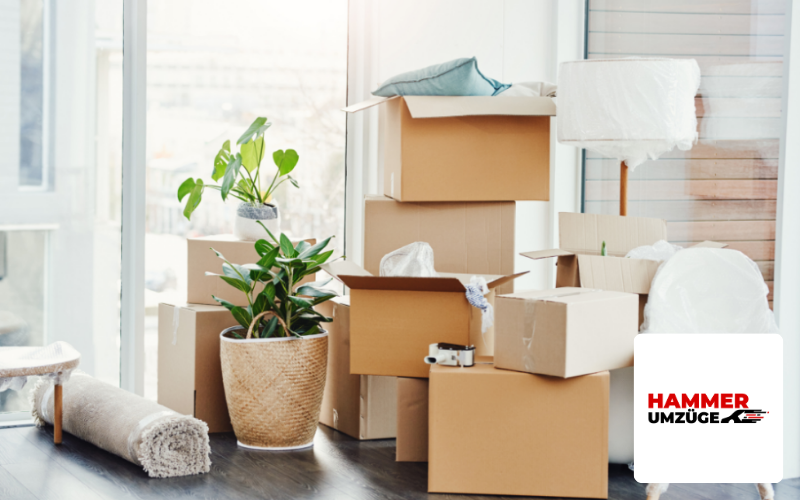 Webdesign Agentur Mönchengladbach Referenz Umzugsunternehmen